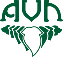 AVN logo